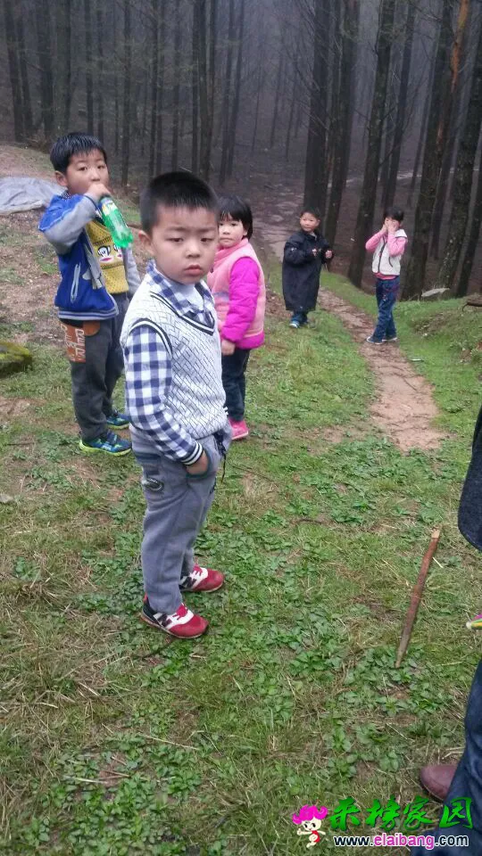 QQ图片20150404210820.webp