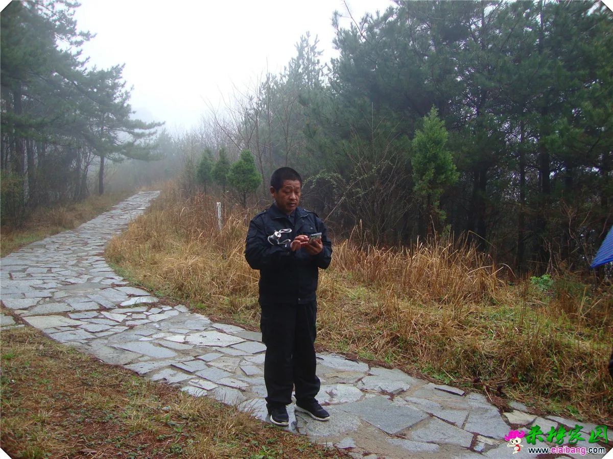DSC05011.webp