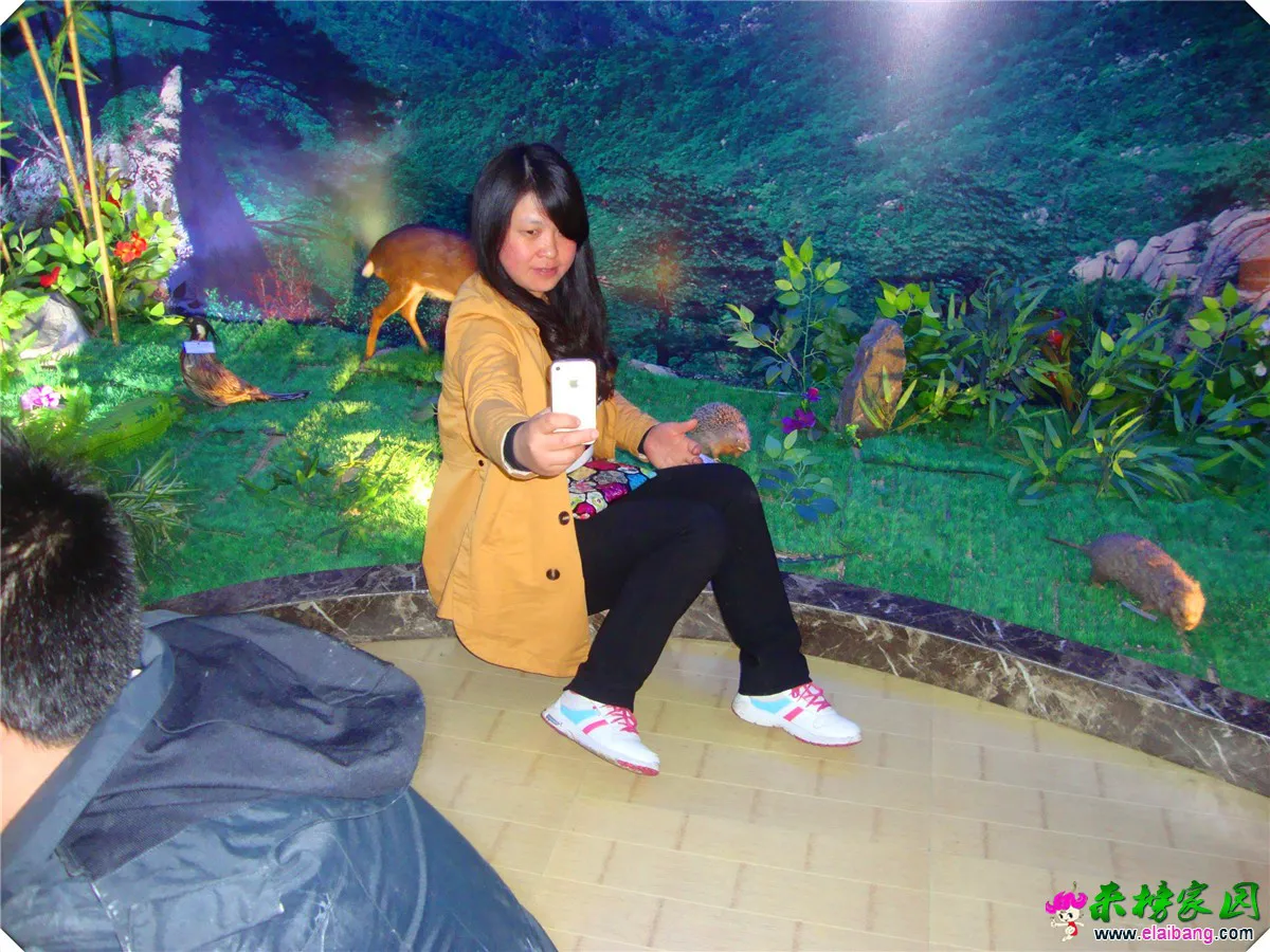 DSC05041.webp