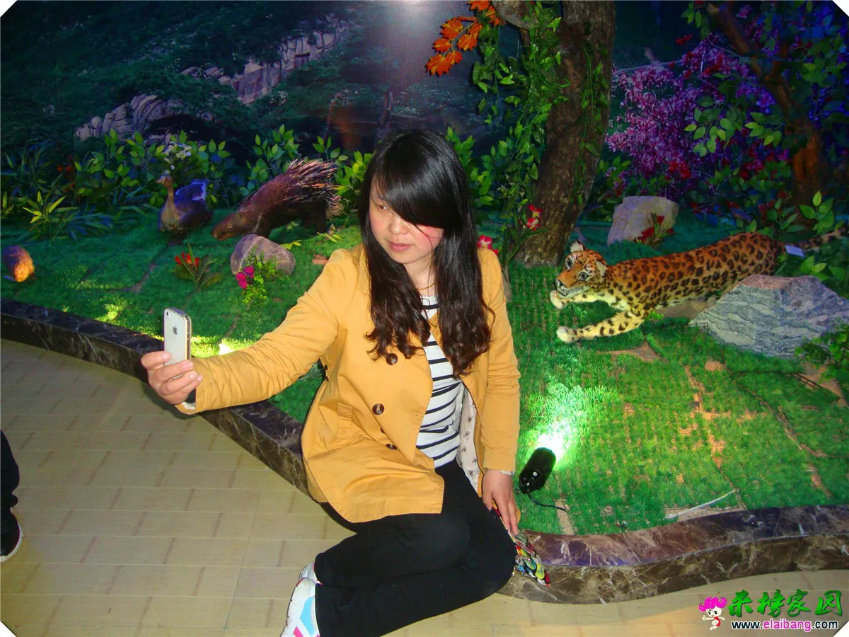 DSC05043.webp