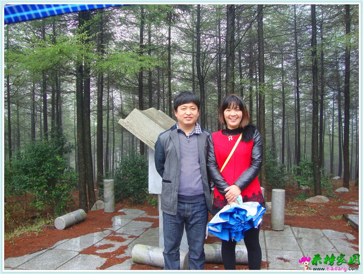 DSC05017.webp