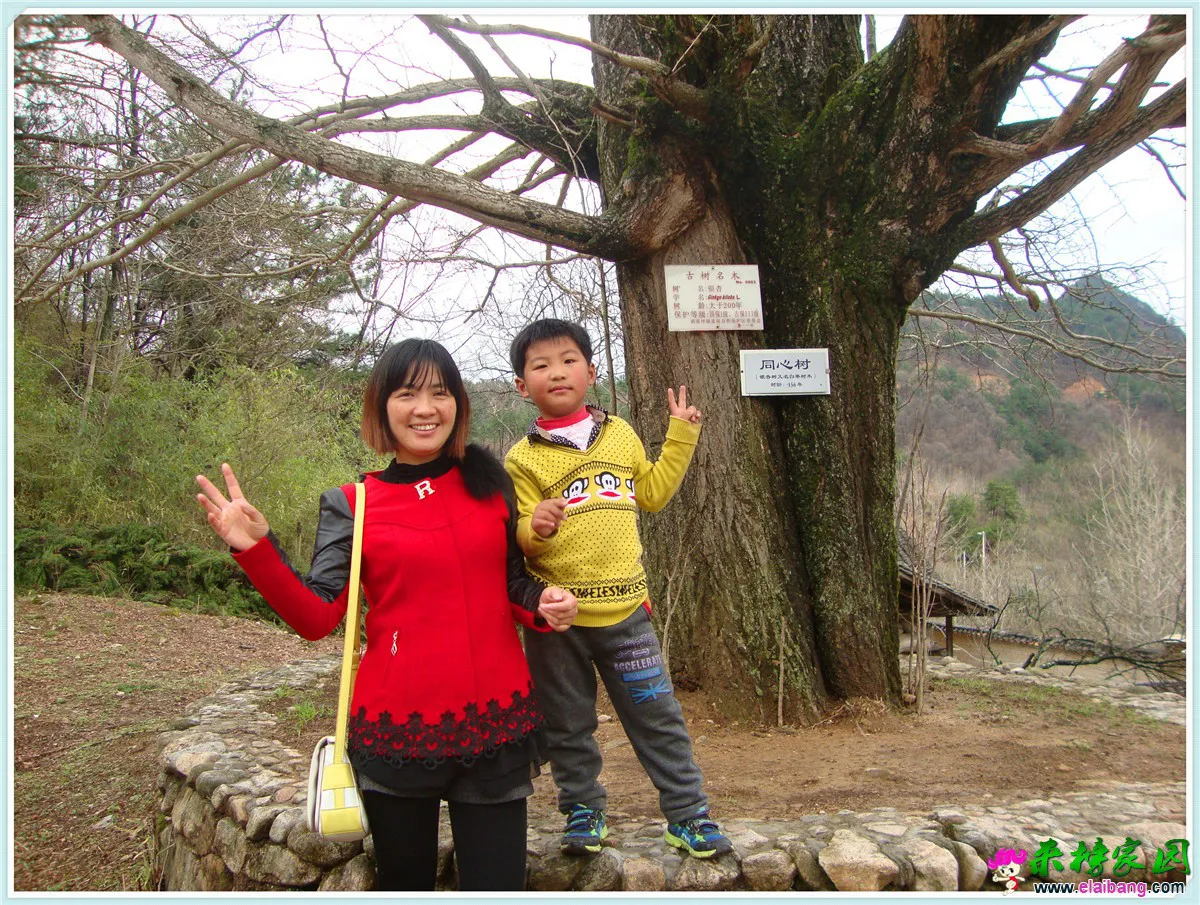 DSC05081.webp