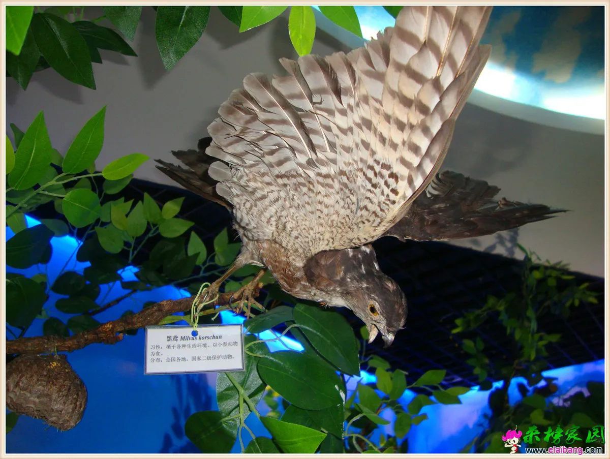 DSC05040.webp