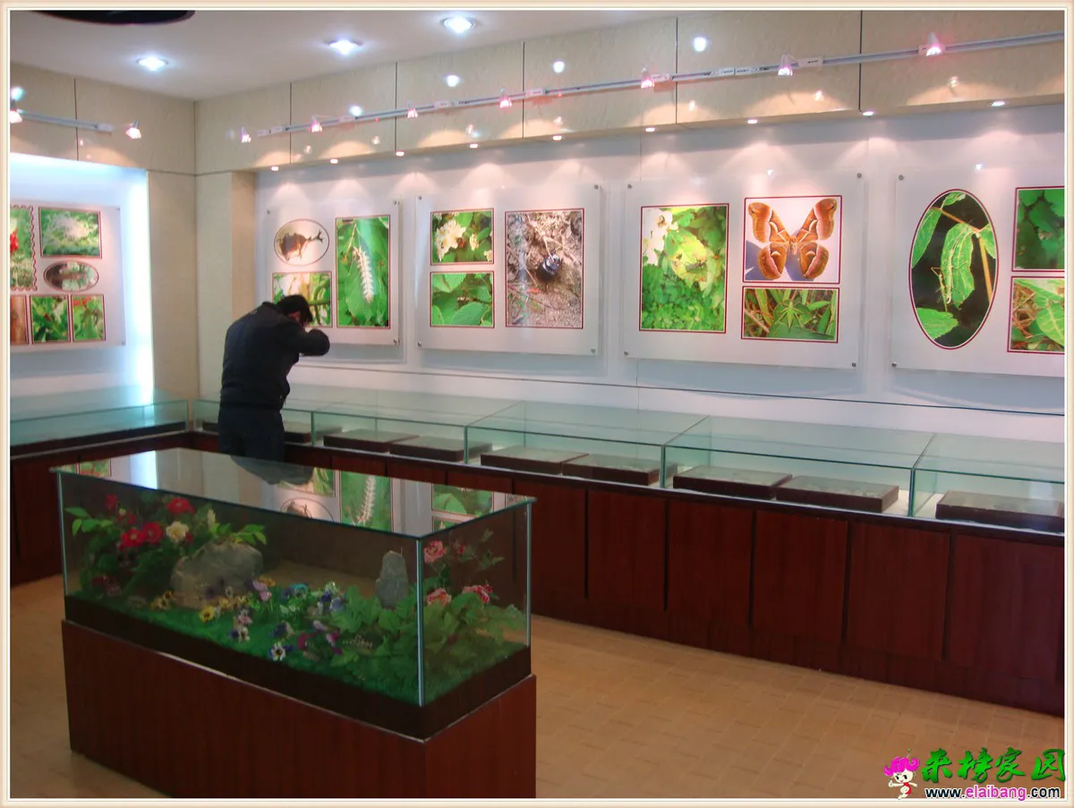 DSC05048.webp