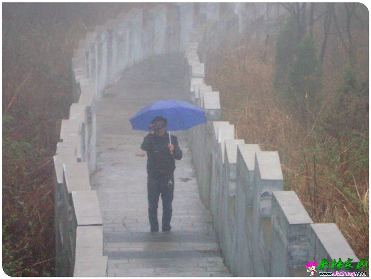 DSC04994.webp