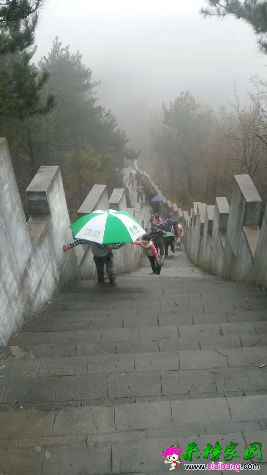 QQ图片20150404210729.webp