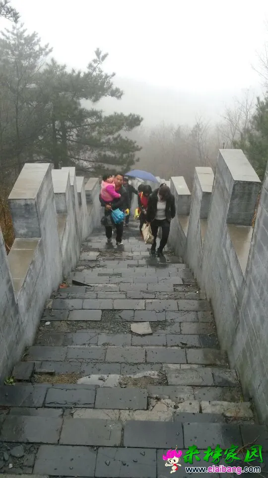 QQ图片20150404210749.webp