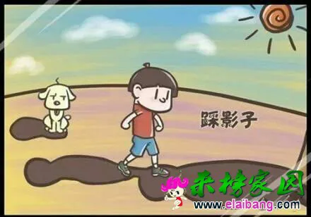 070525sioakpsmos0bkip1.webp