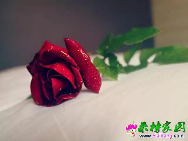 QQ图片20150406200646.webp