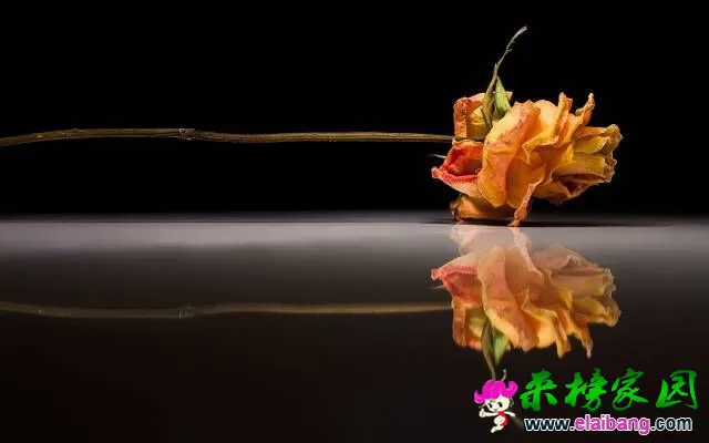 QQ图片20150406200650.webp