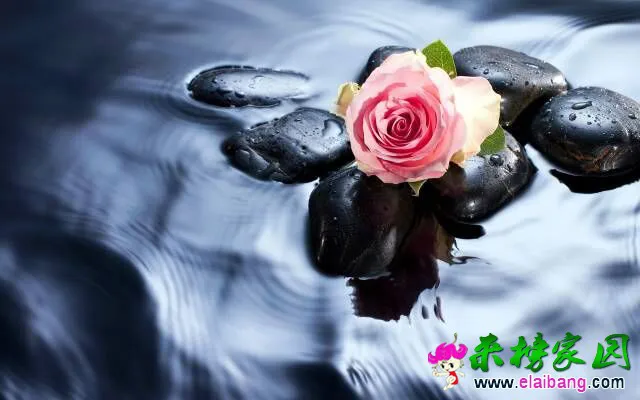 QQ图片20150406200655.webp