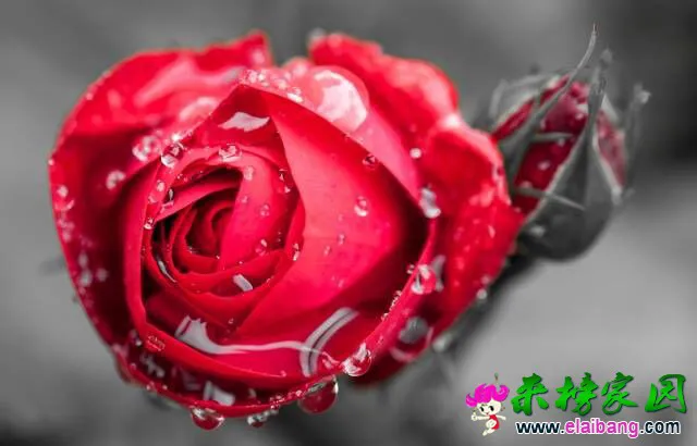 QQ图片20150406200637.webp