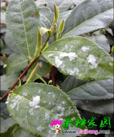 QQ截图20150408085841.webp