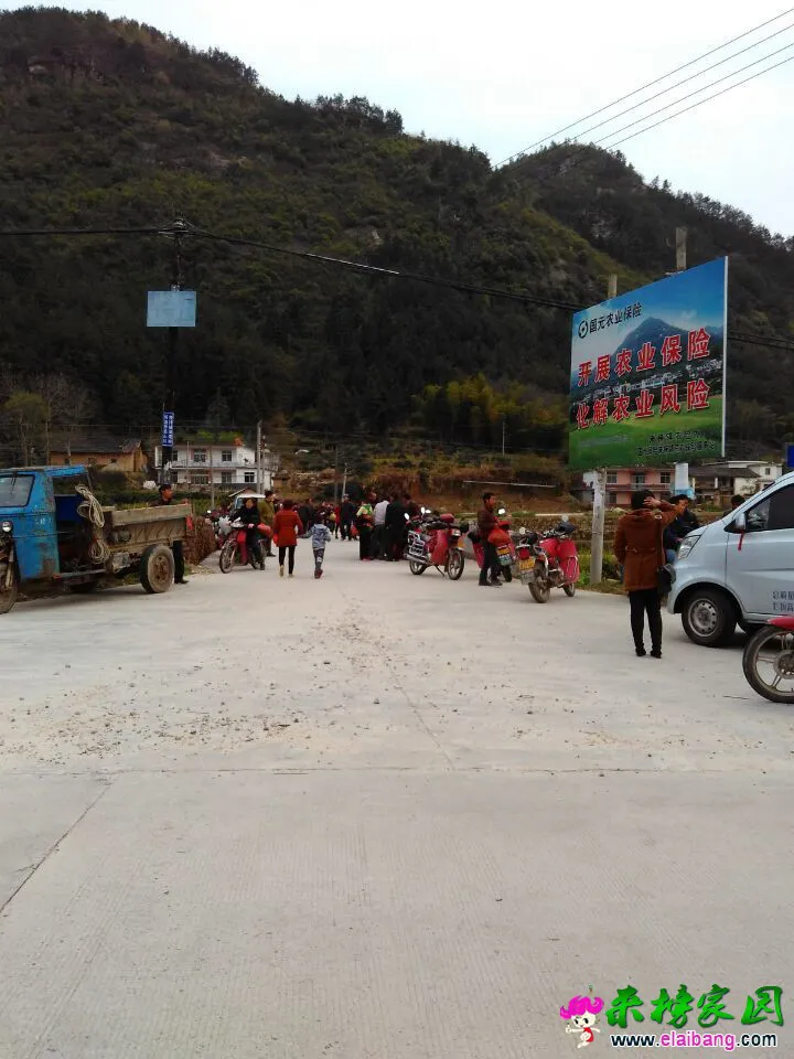 QQ图片201504081839482.webp