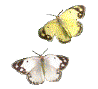 4a32623544adae6499179.gif