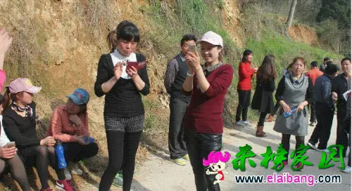 1428664525420.webp