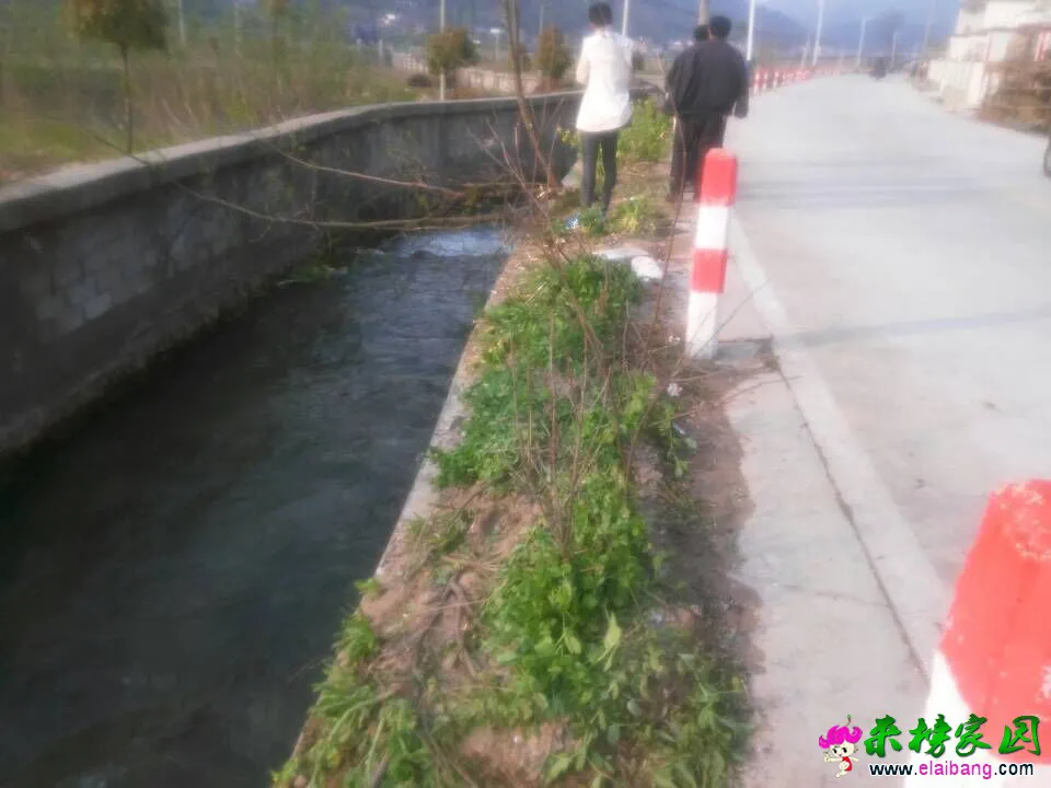 QQ图片20150413102118.webp