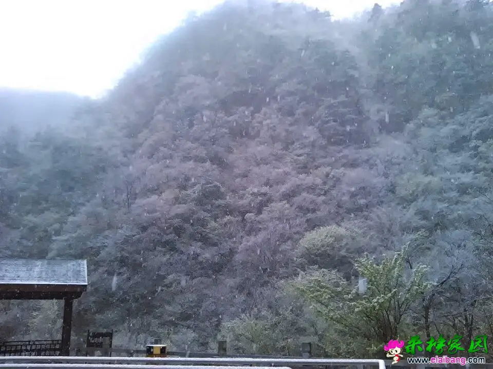 QQ图片20150413123046.webp