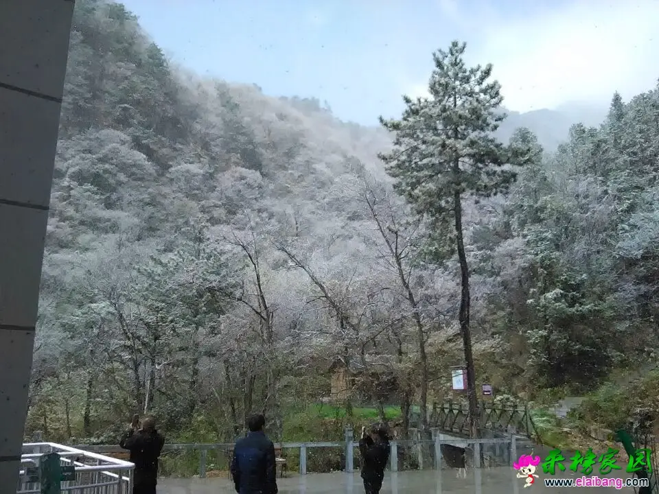 QQ图片20150413123057.webp