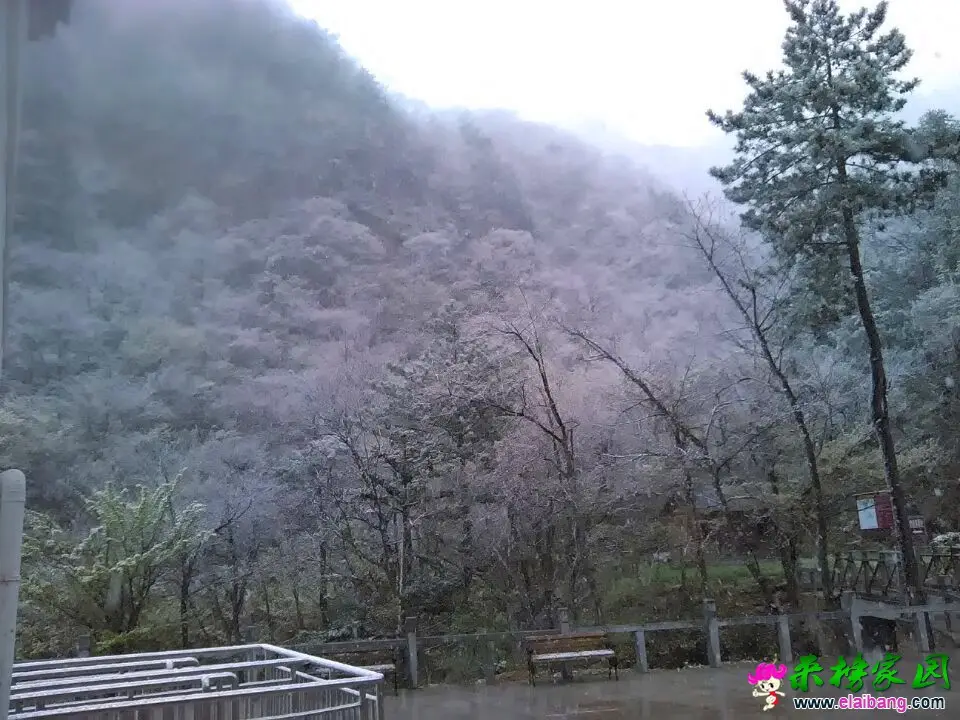 QQ图片20150413123102.webp