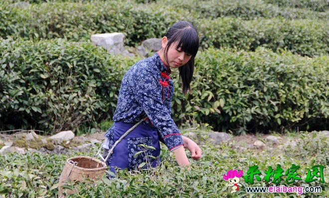 2015041607470237.webp