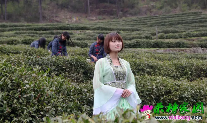 2015041607470398.webp