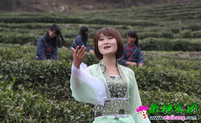 2015041607470341.webp