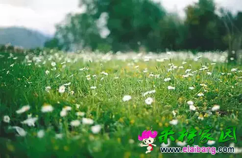 640.webp (3).webp