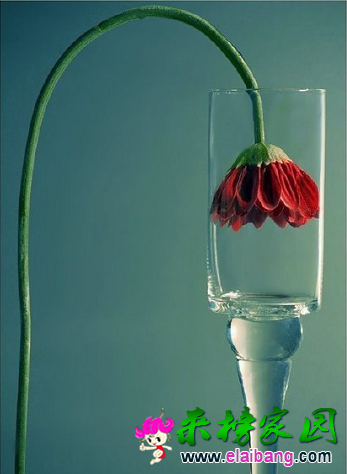 QQ截图20150420095325.png