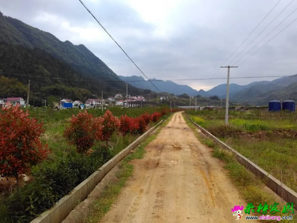 QQ图片201504201741141.webp