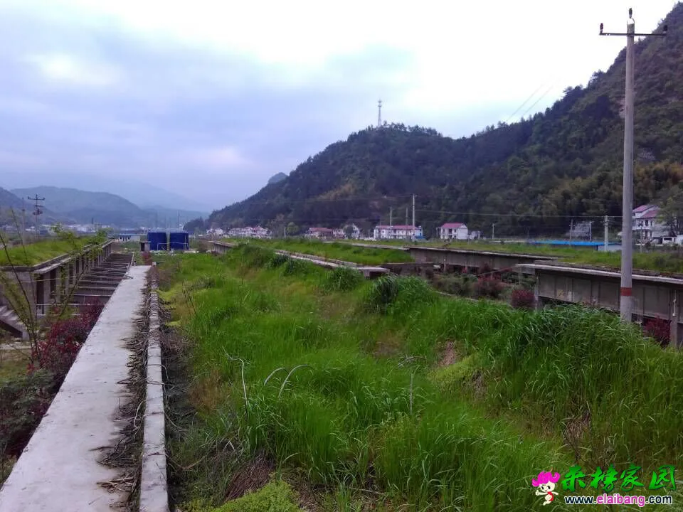QQ图片201504201741332.webp
