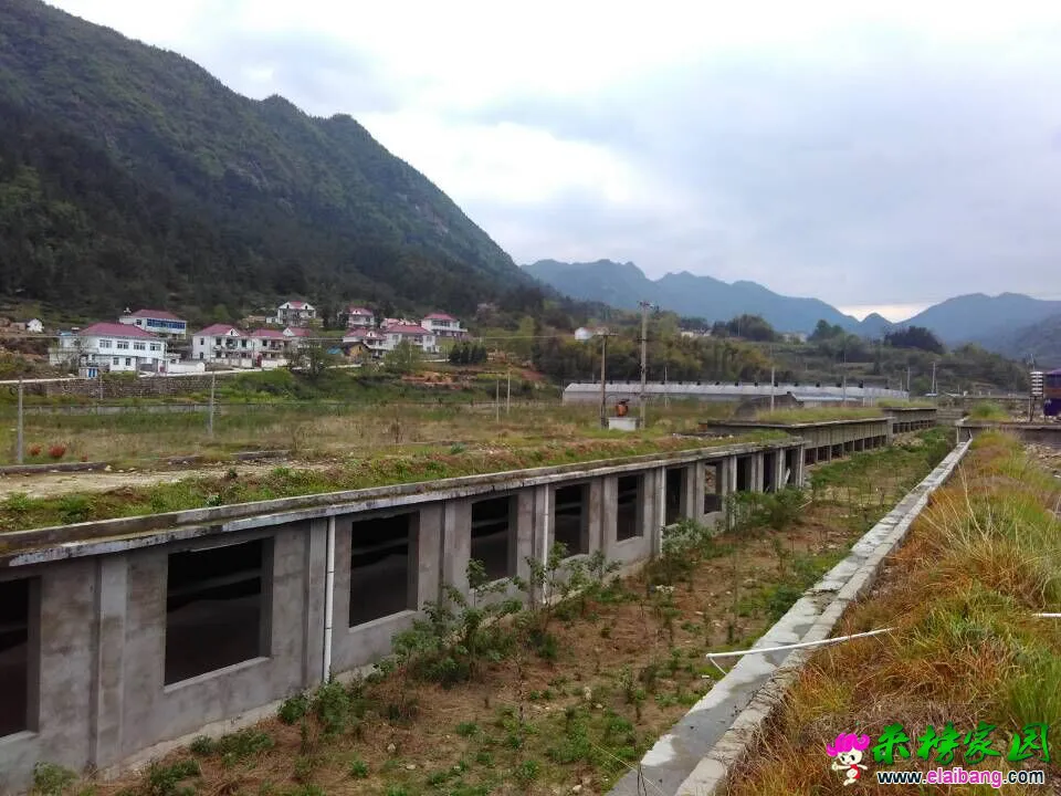 QQ图片201504201741403.webp