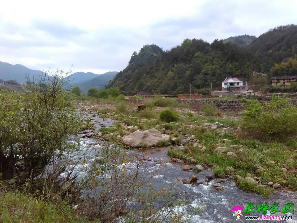 QQ图片201504201742134.webp