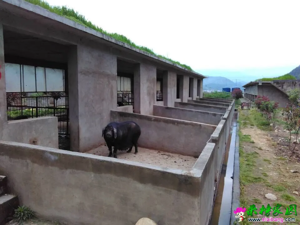 QQ图片201504201743216.webp