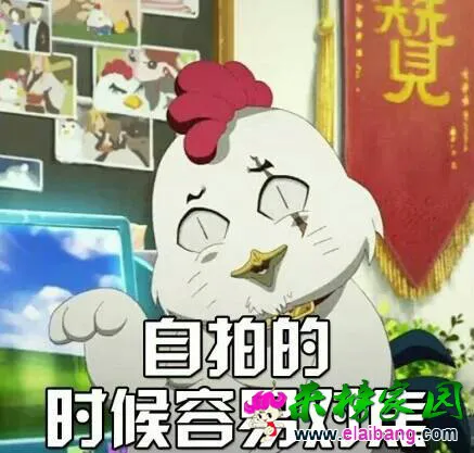 073752bf4bhcu11ljtoo4h.webp
