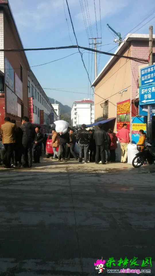 QQ图片2015042108230411.webp