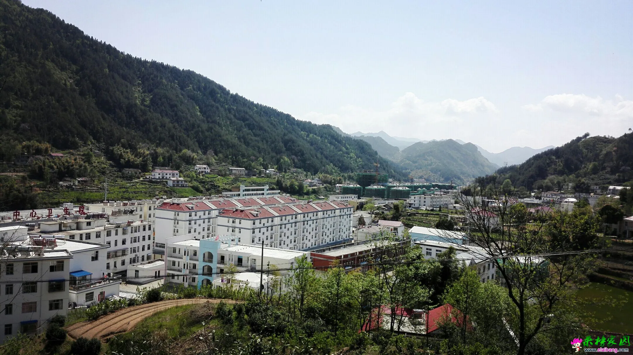 QQ图片20150421142654.webp
