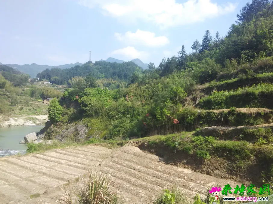QQ图片20150422093417.webp