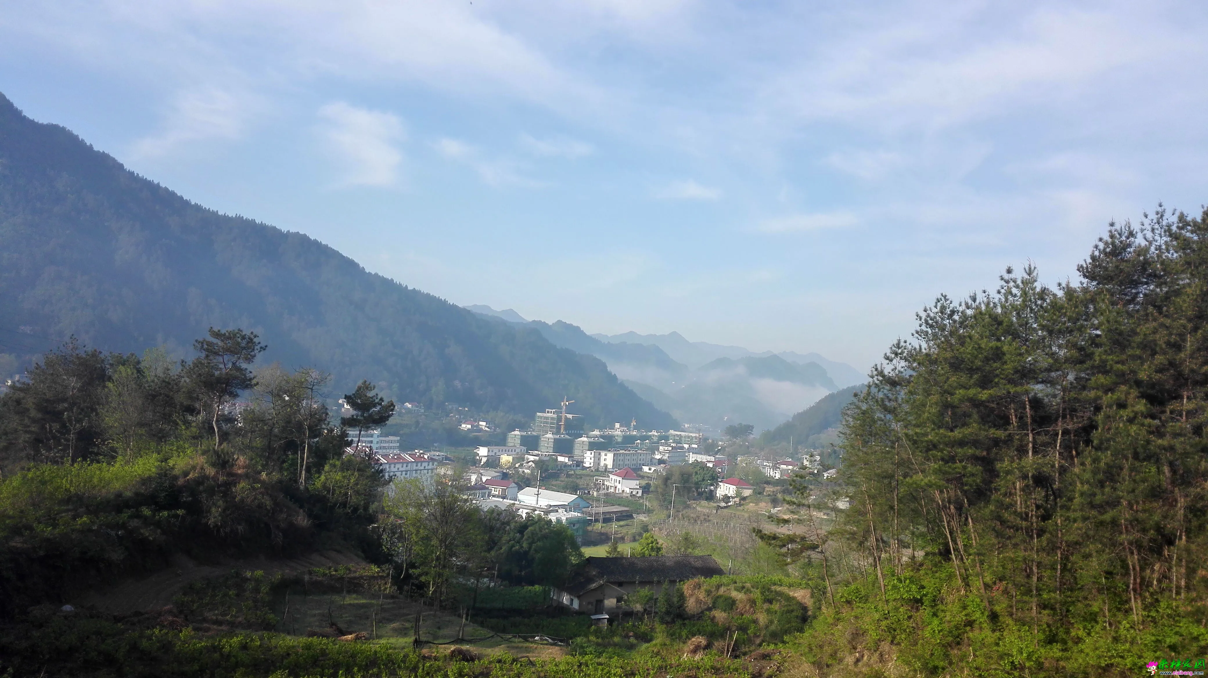 QQ图片20150422104409.webp
