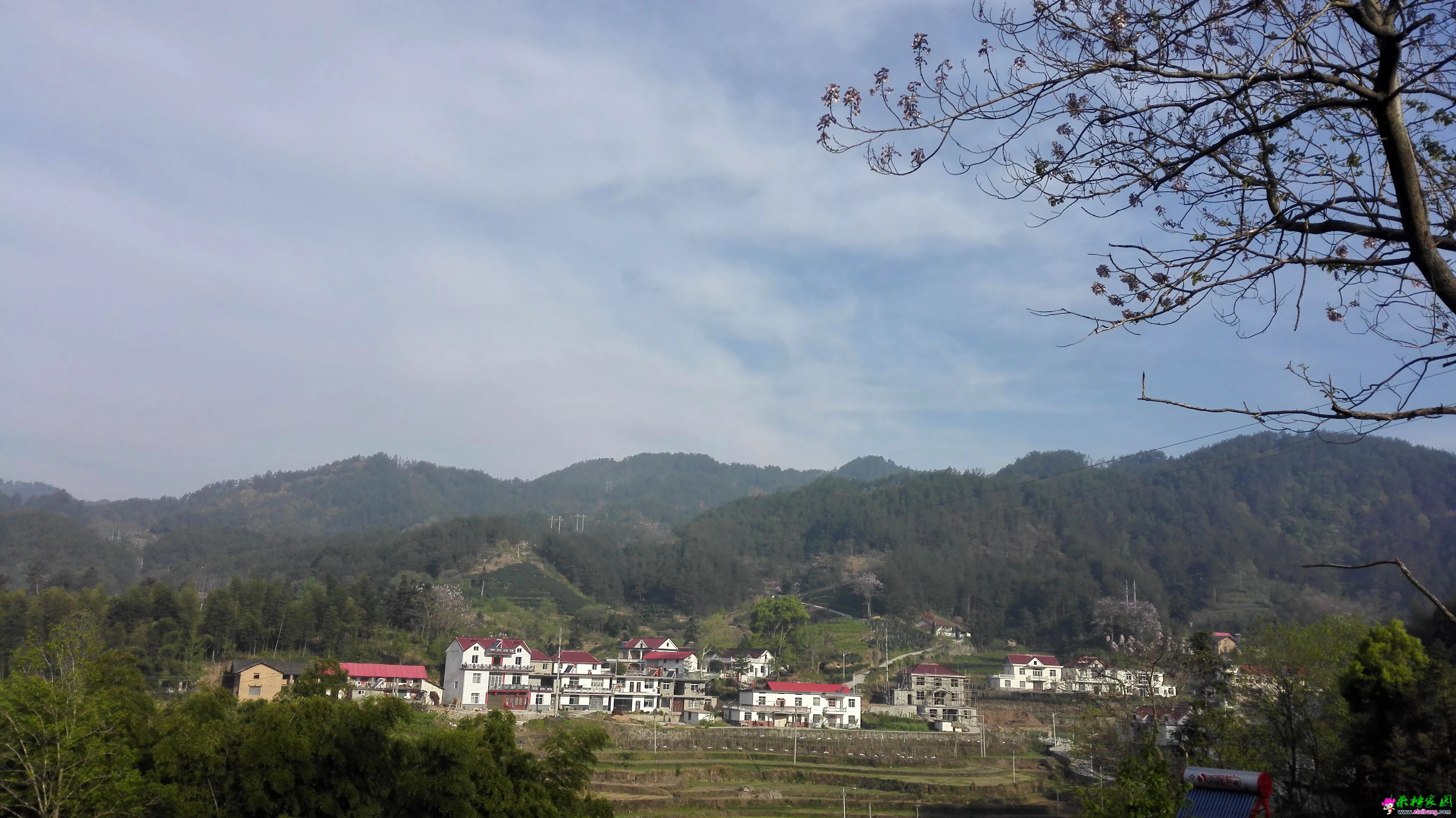QQ图片20150422104354.webp