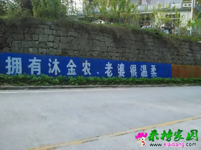 120846o57edvzxiite1oo5.webp