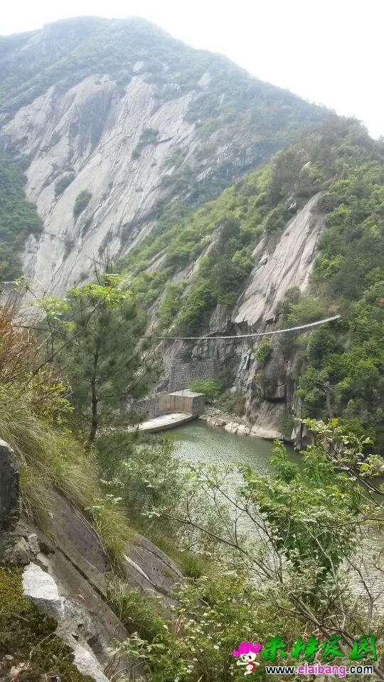 QQ图片201504240913571.webp
