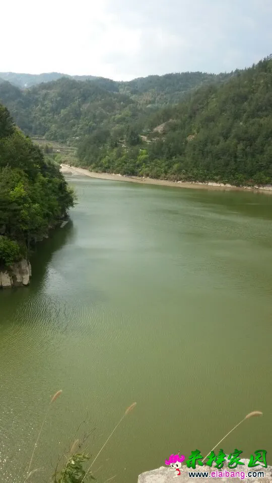 QQ图片201504240914152.webp