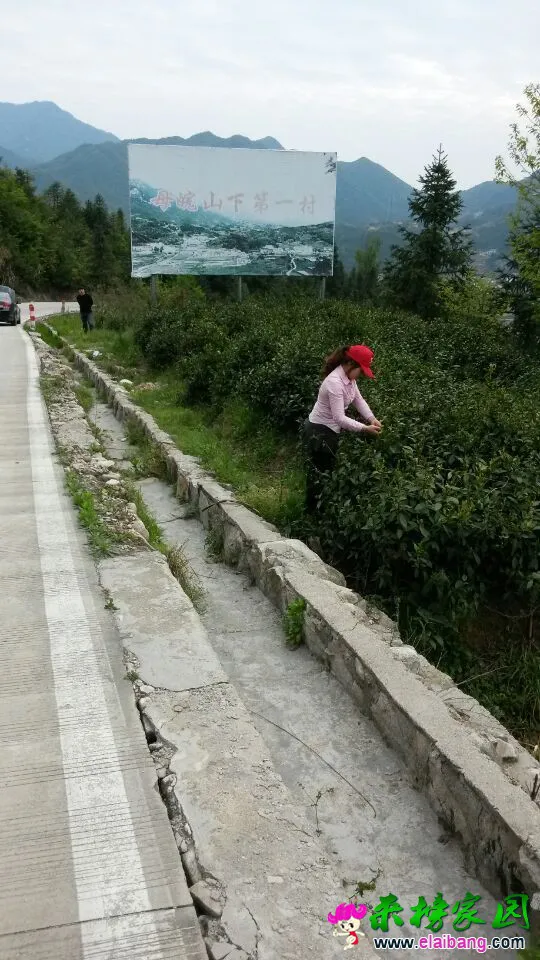 QQ图片2015042409192022.webp