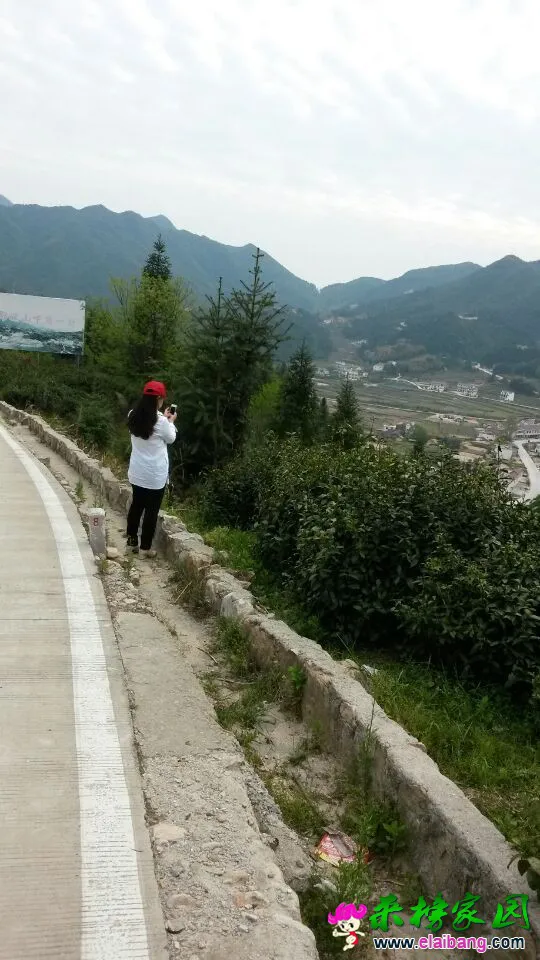 QQ图片2015042409195244.webp