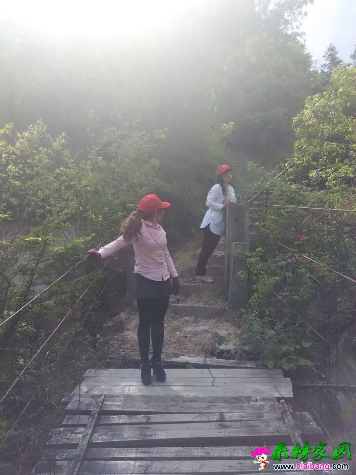 QQ图片2015042409355666.webp