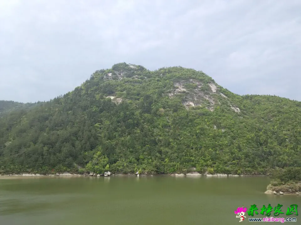 QQ图片20150424093819222.webp