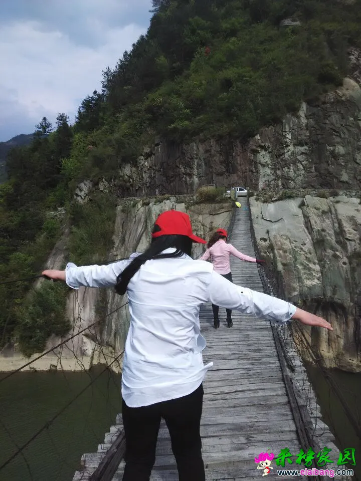 QQ图片20150424093853444.webp