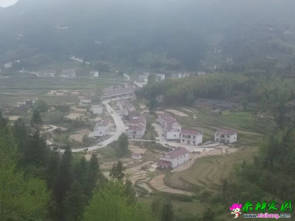 QQ图片20150424093931555.webp