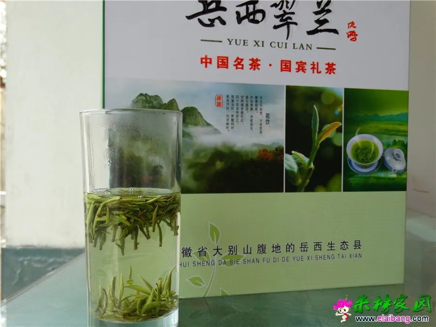DSC00433_副本.webp